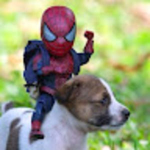 Meet your Posher, David